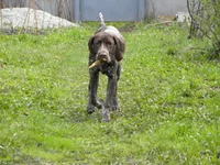  187.webp