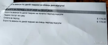 IMG_20250726_161139~2.jpg