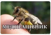 ccf686fe-2f2f-4cb9-84fb-109e730a0499.webp