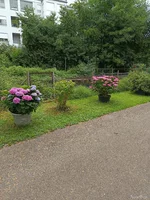 IMG_20250729_100059.jpg
