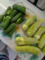 20250810_142728.webp