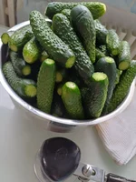 20250811_133515.jpg