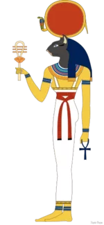 1755090625790.webp