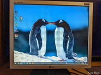 Монитор LG L1719S 17" 1280*1024