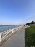 IMG_5536.jpeg