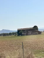 IMG_5524.jpeg
