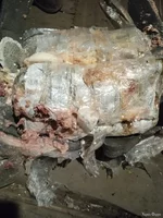 IMG-20250823-WA0024.webp