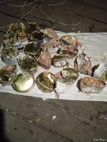 IMG-20250823-WA0026.webp