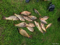 20230708_124029.webp