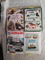 4.webp
