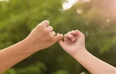 изображение_2025-08-29_051332387.webp