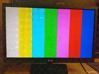 Монитор LG 19EN33S-B