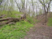 100_2545.jpg
