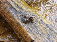 100_2565.webp