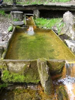100_2566.jpg