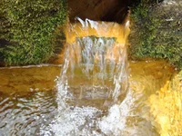 DSC02445.jpg