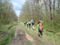 DSC02485.jpg