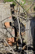 _DSC8609.webp