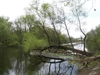 4_донец.webp