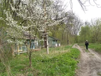 5_домики.webp