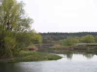 6_донец.webp