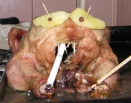foto1.webp