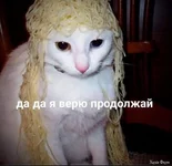 изображение_2025-09-12_051016658.webp