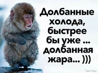 изображение_2025-09-22_070157563.webp