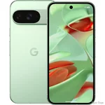 Смартфон Google Pixel 9 12/256GB Wintergreen USA (Код товару:42038)