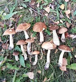 IMG_20250927_170917 2.webp