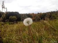 IMG_20250928_133502.webp