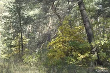 _SAM8083.webp