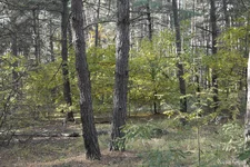 _SAM8084.webp