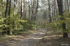 _SAM8097.webp