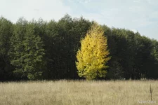 _SAM8108.webp