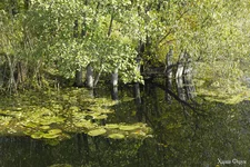 _SAM8124.webp