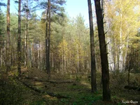 DSC00410.webp