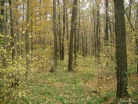 DSC08597.webp