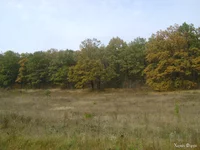 DSC08602.webp