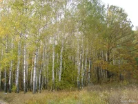 DSC08603.webp