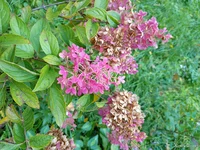 IMG_20251004_105626.webp