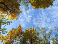 IMG_20251004_142258.webp