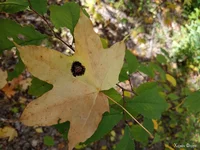 IMG_20251004_142715.webp