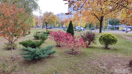 IMG_20251007_125625.webp