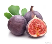 1759948334704.webp