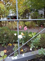 IMG_20251009_161222.webp