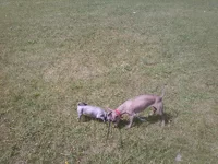 -0006.webp