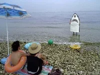 1237903539_t_3.webp