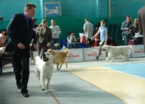 DSC08213.webp