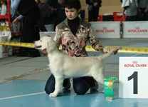 DSC08204.webp